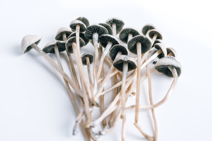 Psilocybin and Magic Mushrooms